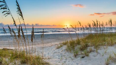 阿米莉亚岛州立公园的海滩日出美景 阿米莉亚岛州立公园的海滩日出美景