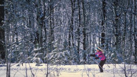 南达科他州越野滑雪 南达科他州越野滑雪