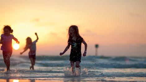 黄昏时分在佛罗里达州圣彼德斯堡附近冲浪的孩子们 黄昏时分在佛罗里达州圣彼德斯堡附近冲浪的孩子们