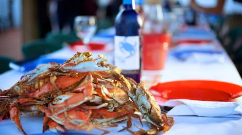 弗吉尼亚螃蟹节 弗吉尼亚螃蟹节