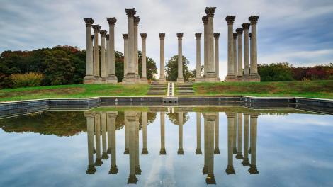 国会石柱展区 国会石柱展区