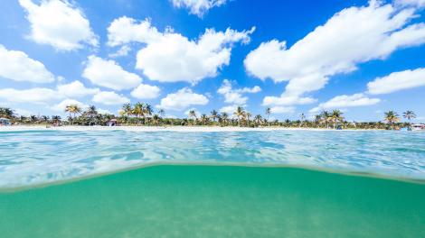 佛罗里达州东南部大罗德岱堡最秀美的大西洋海岸沙滩之一  佛罗里达州东南部大罗德岱堡最秀美的大西洋海岸沙滩之一