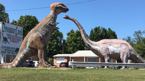 恐龙乐园 恐龙乐园