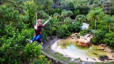 佛罗里达州奥兰多鳄鱼乐园野生动物展示区上空的高空飞索 佛罗里达州奥兰多鳄鱼乐园野生动物展示区上空的高空飞索