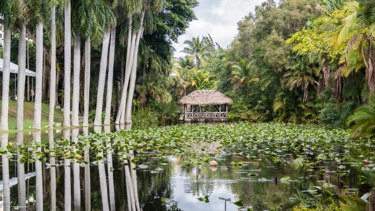 The Chickee 桥和邦尼特湖 The Chickee 桥和邦尼特湖