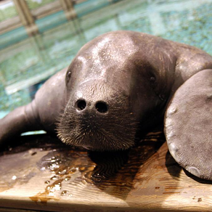 佛罗里达州实闻趣事 佛罗里达州实闻趣事