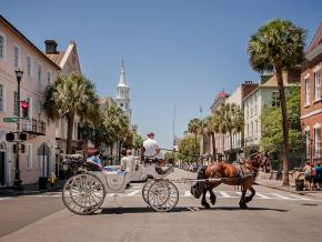 南卡罗来纳州查尔斯顿街头的马车 南卡罗来纳州查尔斯顿街头的马车