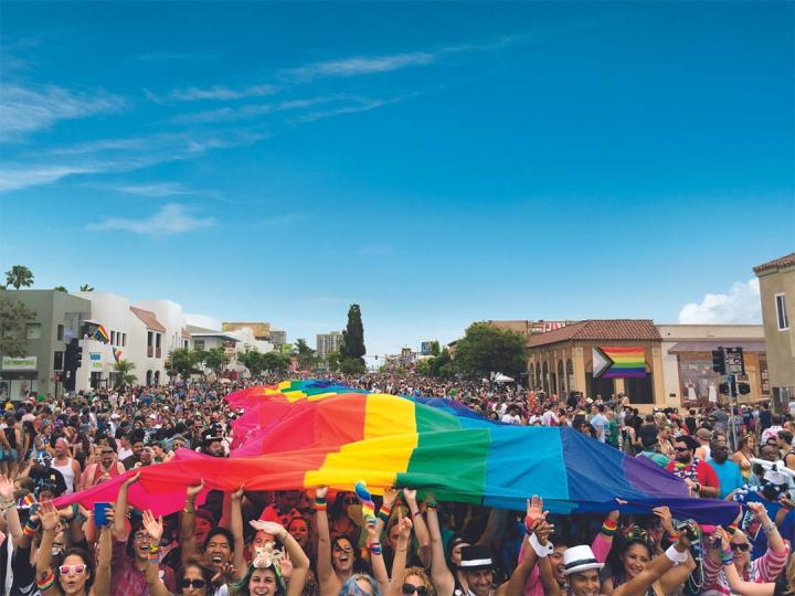 在圣地亚哥骄傲节高举彩虹旗的人群