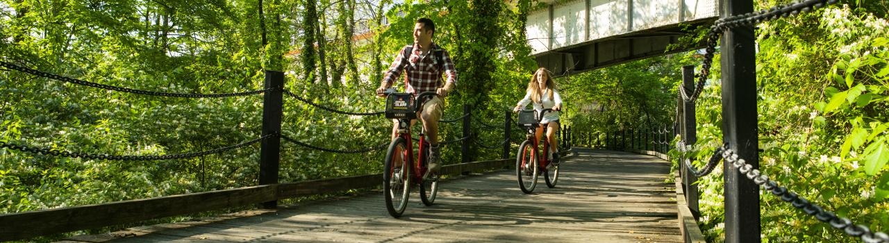 骑行穿越弗吉尼亚州阿灵顿附近的 Mount Vernon trail 小径 骑行穿越弗吉尼亚州阿灵顿附近的 Mount Vernon trail 小径