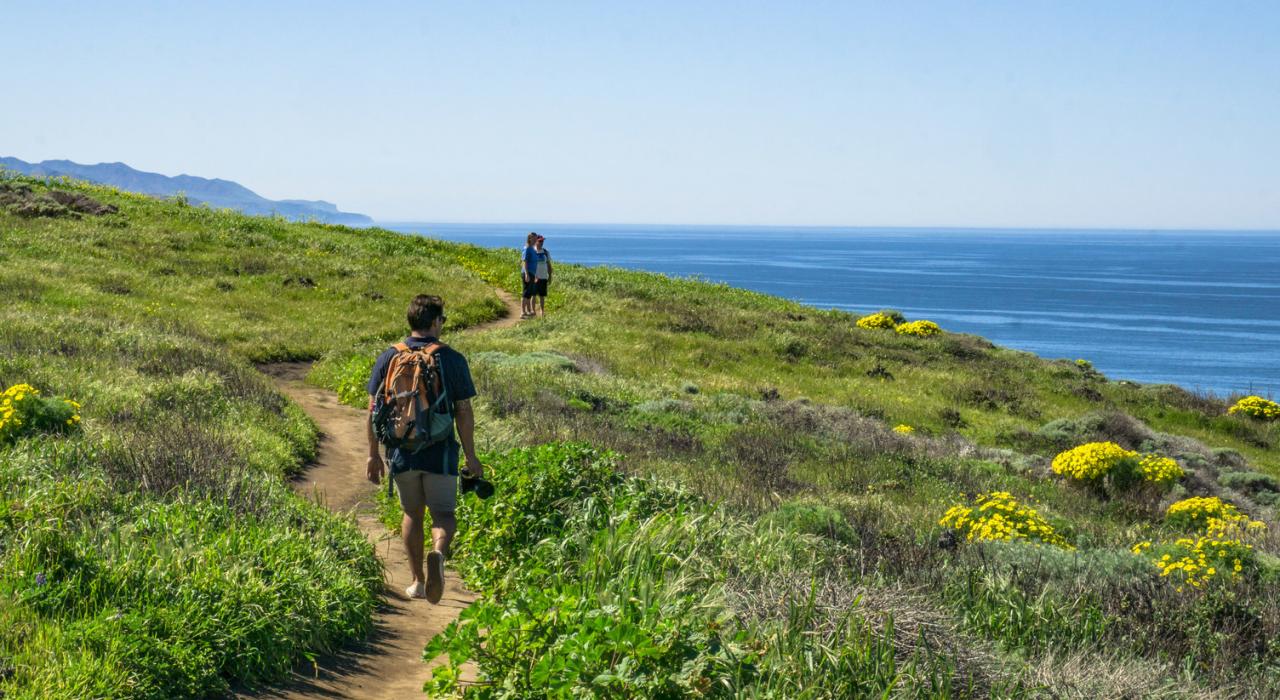 加州的中央海岸：穿越自然和文化奇观的公路之旅| GoUSA