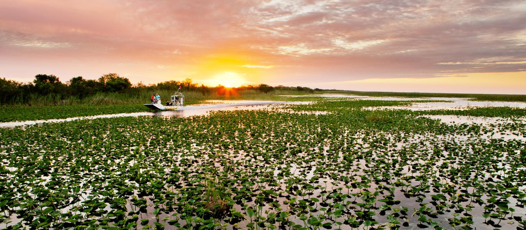 搭乘汽船在大沼泽地穿行 搭乘汽船在大沼泽地穿行